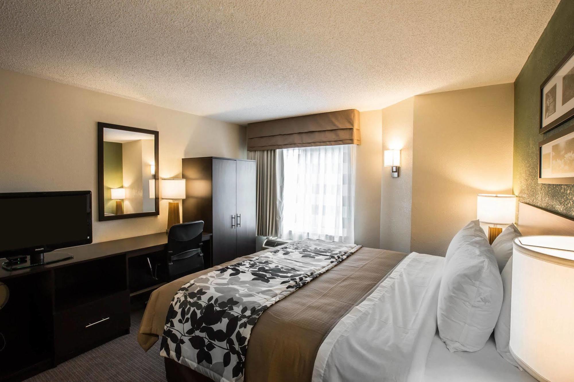 Sleep 2* Hickory